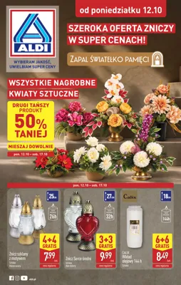 Aldi znicze